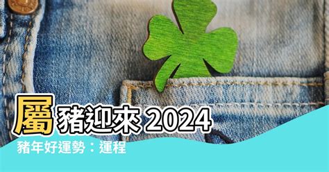 2024 豬 年 運程|2024屬豬幾歲、2024屬豬運勢、屬豬幸運色、財位、禁忌